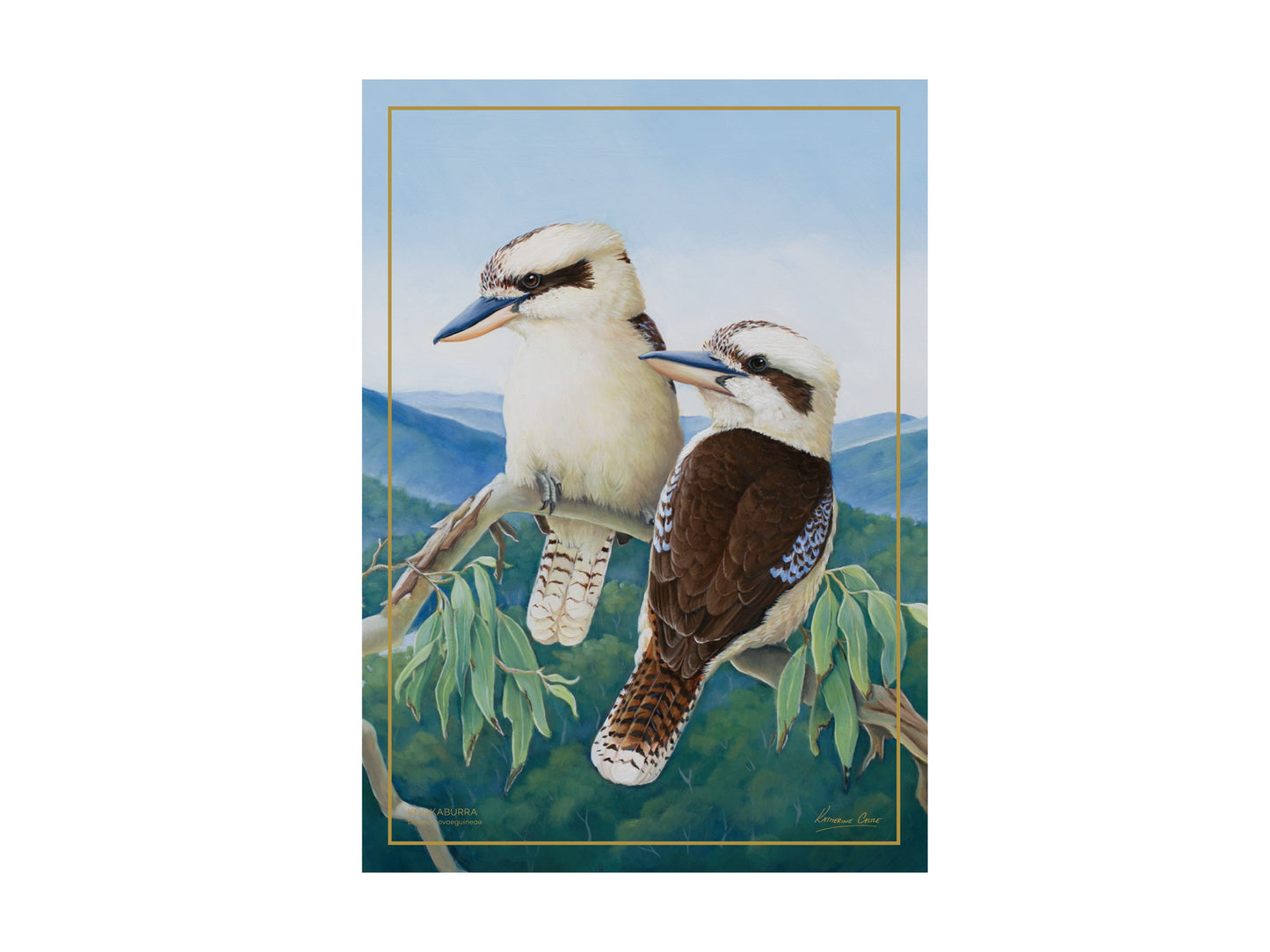 Birds of Australia 10yr Anniversary tea towel Kookaburra 50x70cm