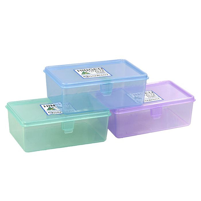 Hinged lunch box 21x15x8cm