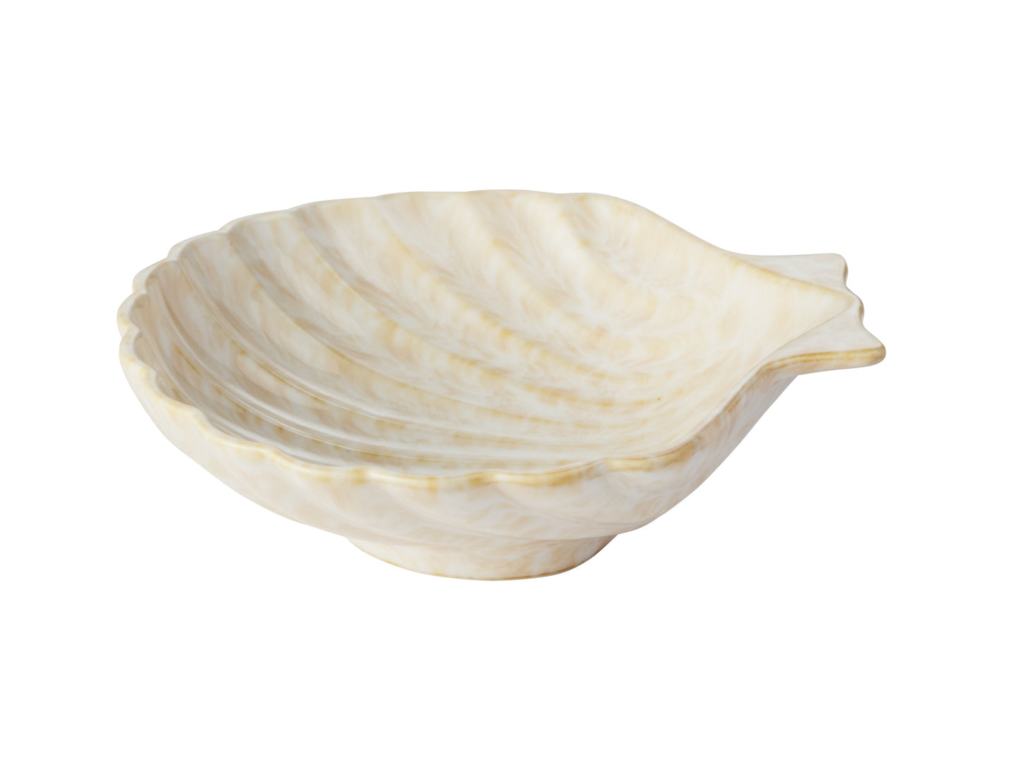 IL Mare shell dish 15x2.5cm