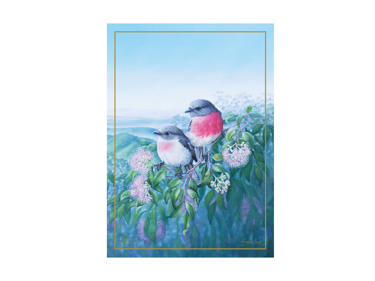 Birds of Australia 10yr Anniversary tea towel rose robin 50x70cm