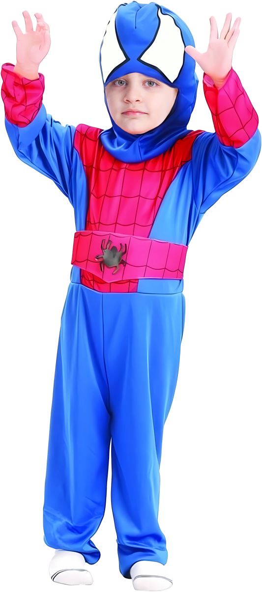 Costume Spider