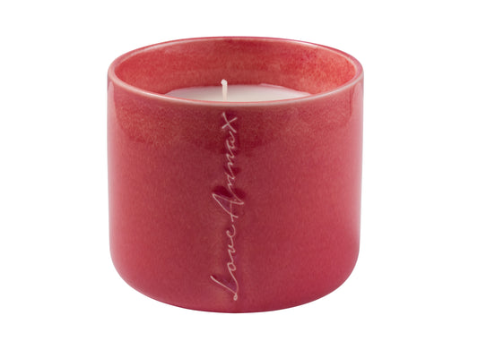 Chapters SNDDT candle red currant & cream 325g