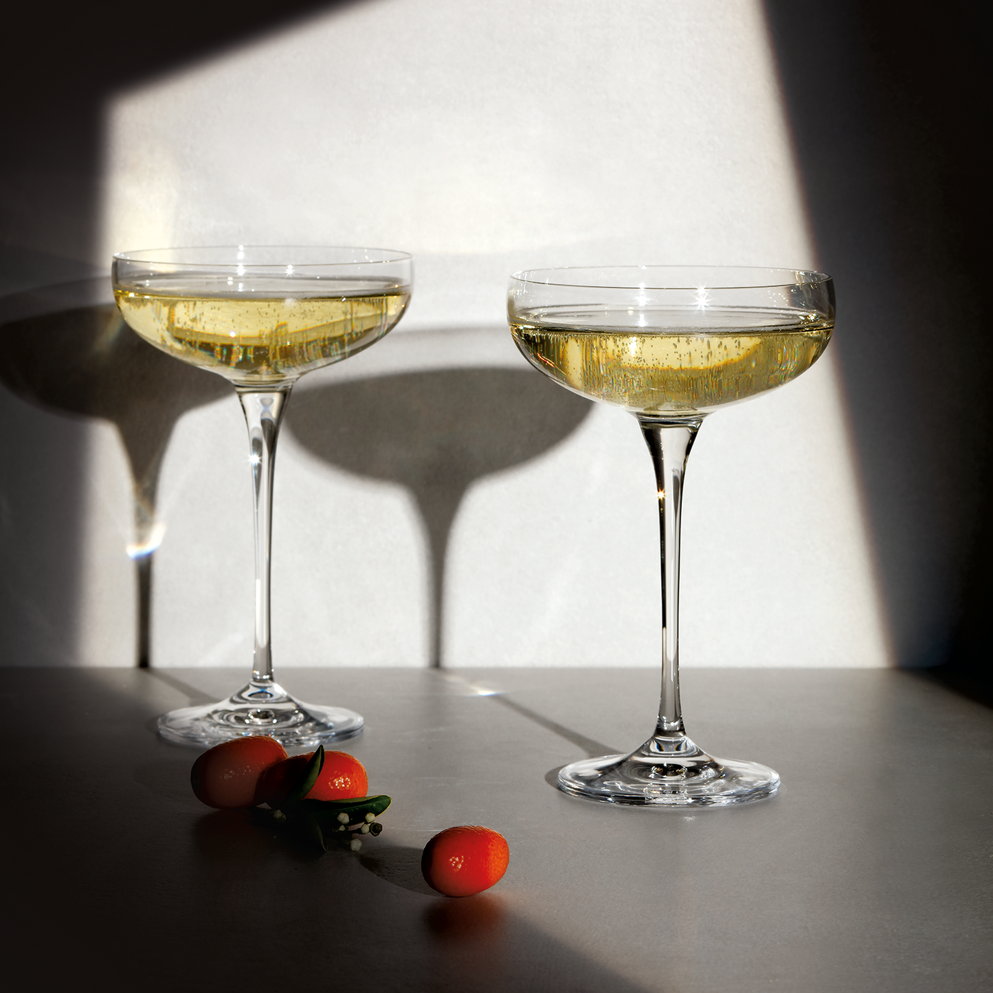 Harmony Coupe Champagne 240ml 6pc GB