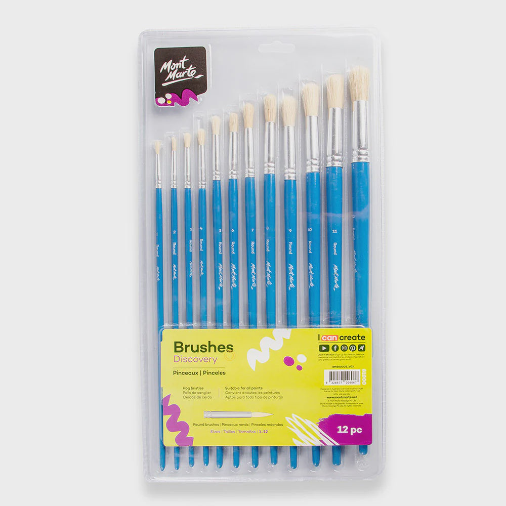 Studio artists brushes 12pc hog hair brush