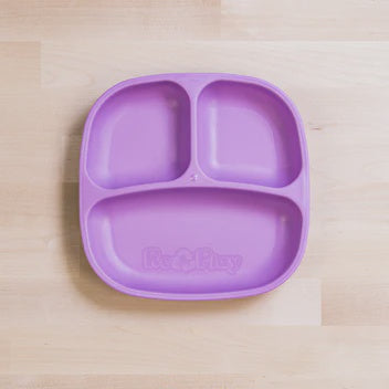Divided plate purple